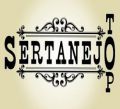 CD Top Sertanejo